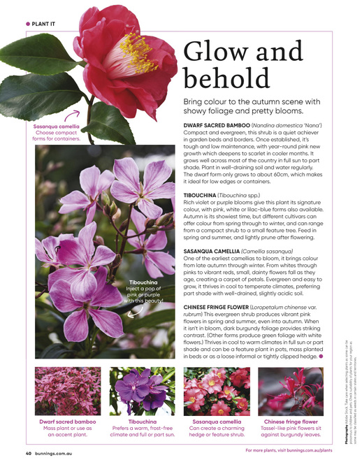 April 2026 page 40 of 76