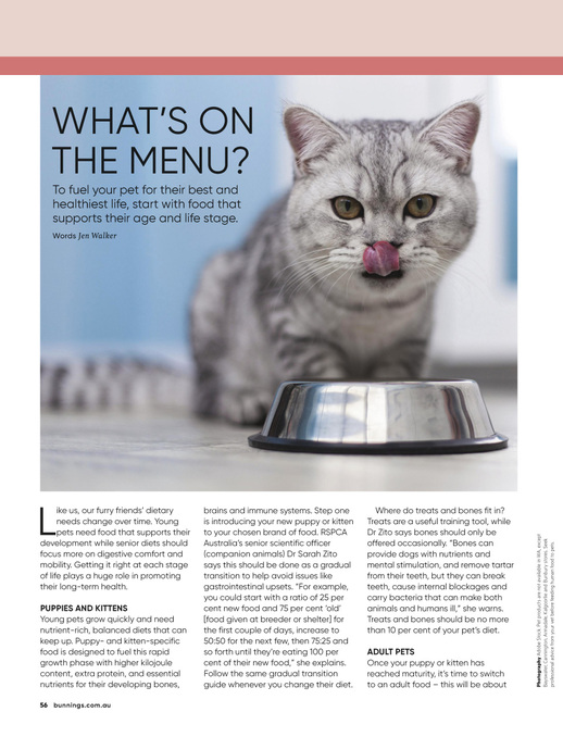 April 2026 page 56 of 76