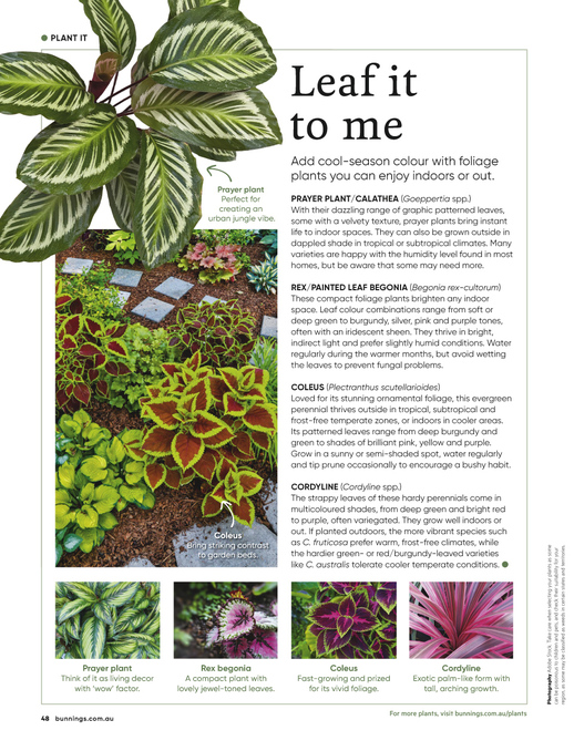 May / June 2026 page 48 of 76
