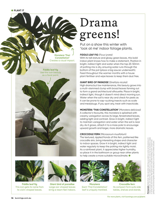 July 2026 page 36 of 76