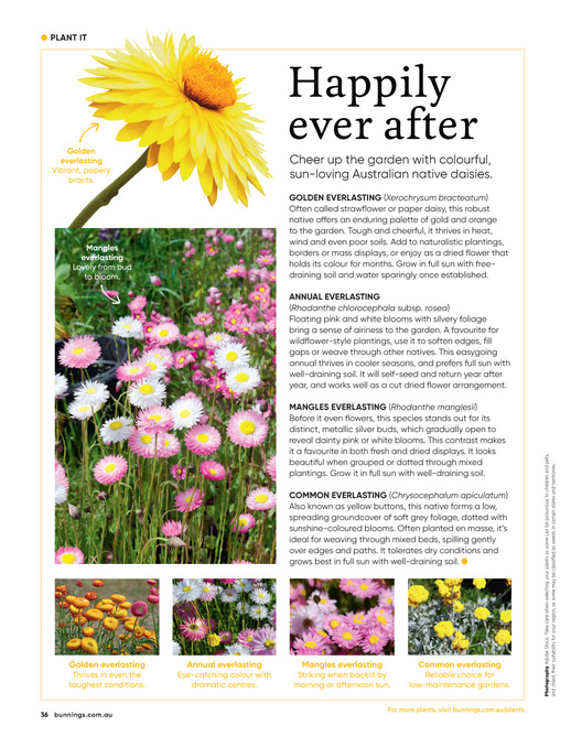 August 2026 page 36 of 84