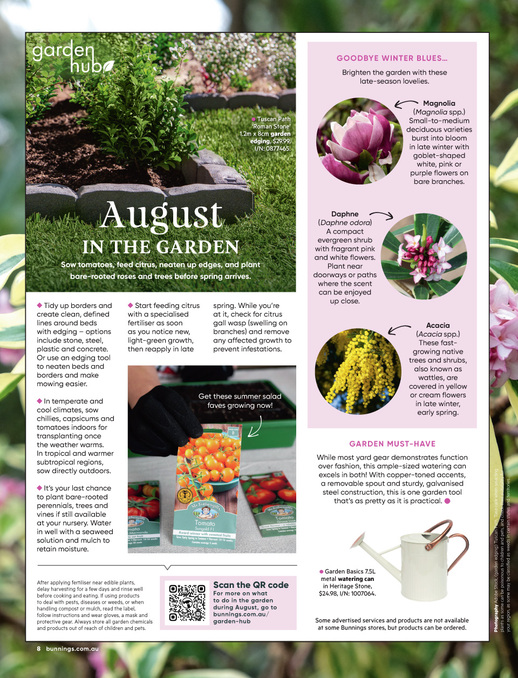 August 2026 page 8 of 84