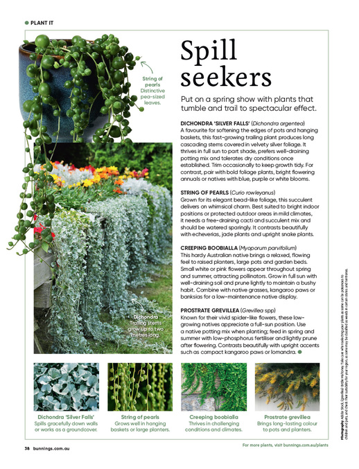 September 2026 page 38 of 92