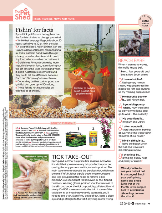 September 2026 page 73 of 92