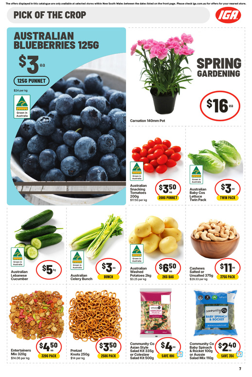 IGA NSW Large V1 page 10 of 39