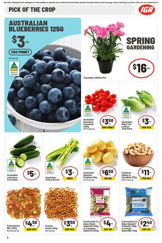 IGA NSW Medium V2 page 6 of 22