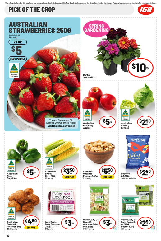 IGA NSW Large V2 page 11 of 32