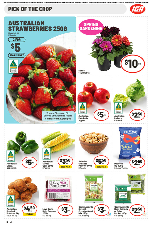 IGA NSW Medium V2 page 7 of 16