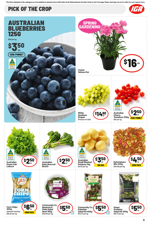 IGA NSW Large V1 page 10 of 32