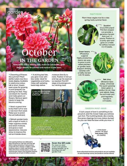 October 2026 page 10 of 108