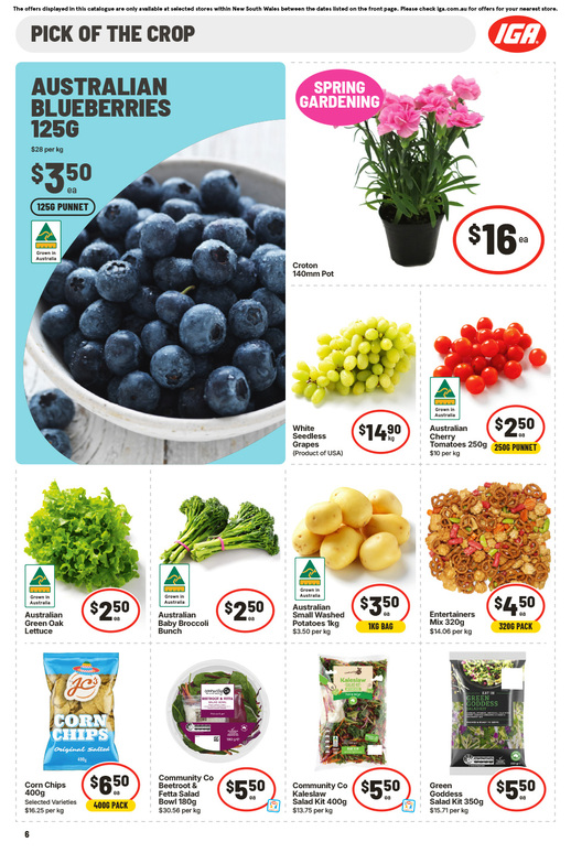 IGA NSW Medium V2 page 11 of 29