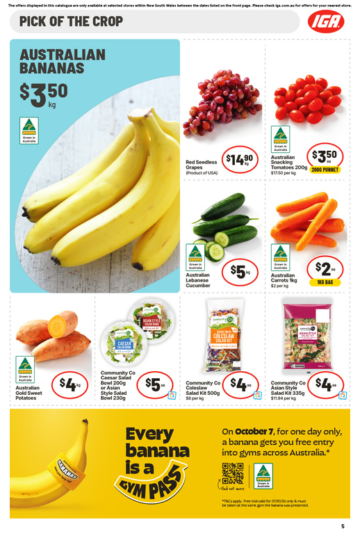 IGA NSW Medium V1 page 6 of 16