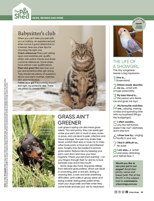 November 2026 page 65 of 92