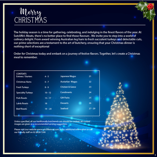 Merry Christmas page 3 of 30